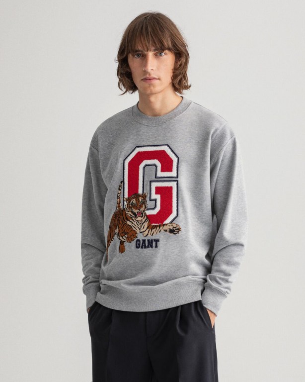 Hanorace Barbati Gant Tiger Crew Neck Gri | K2phL1iQoAm