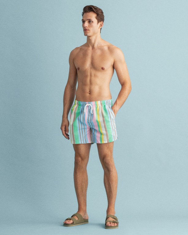 Pantaloni Scurti Barbati Gant Clasici Fit Stripe Print Swim Roz | ENlSXAFc7Nl