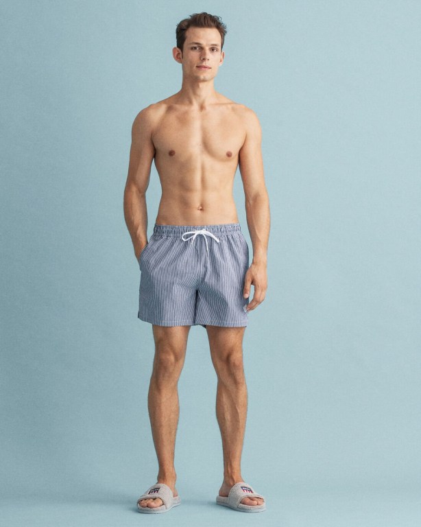 Pantaloni Scurti Barbati Gant Clasici Fit Seersucker Albastri Inchis | WlWByitfIam