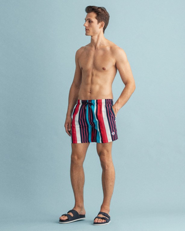 Pantaloni Scurti Barbati Gant Clasici Fit Stripe Print Turcoaz | n0EqtXZRFHI